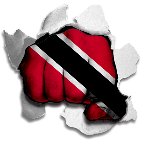 Fist Trinidad And Tobago Flag Logo vinyl decal